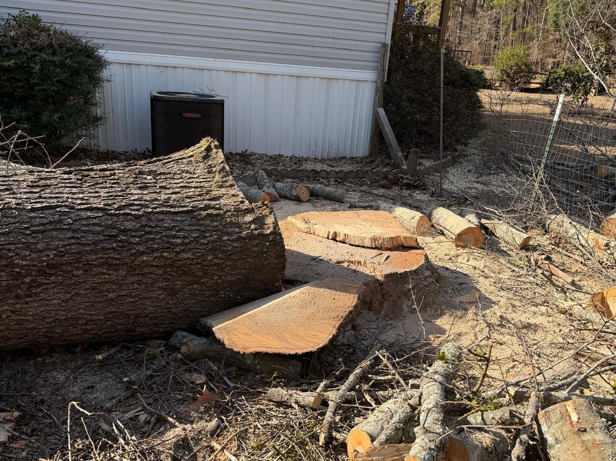 El Costeño Tree Service LLC